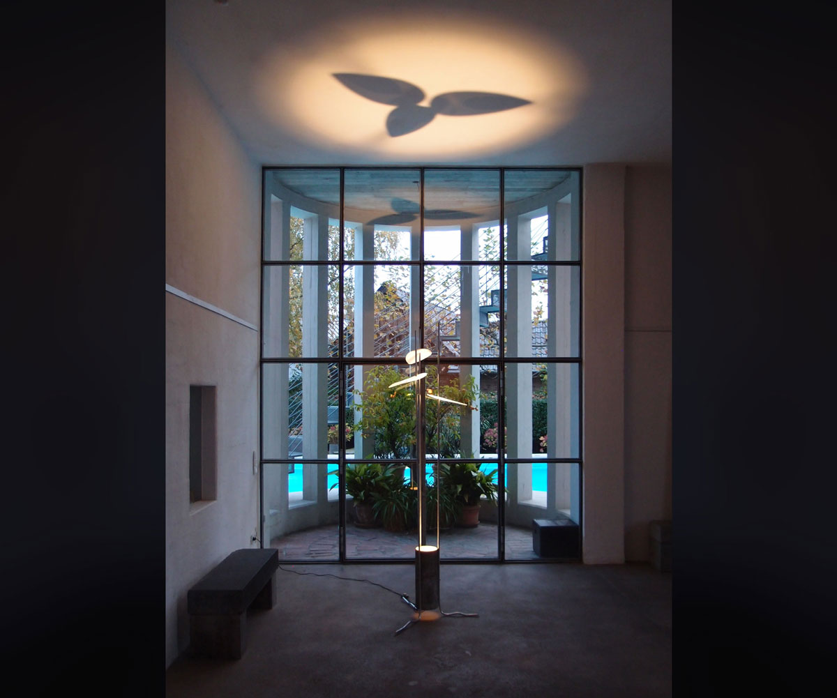 Lothar Jeuter | Schattige Lichtung K&ouml;ln-Rondorf